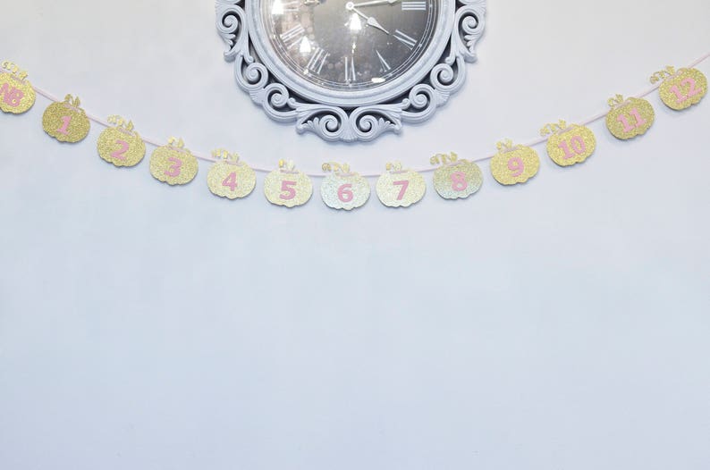 Pink and Gold Milestone, Monthly Photo, First Year, Pumpkins, Birthday Party Decor, Photo Prop image 3