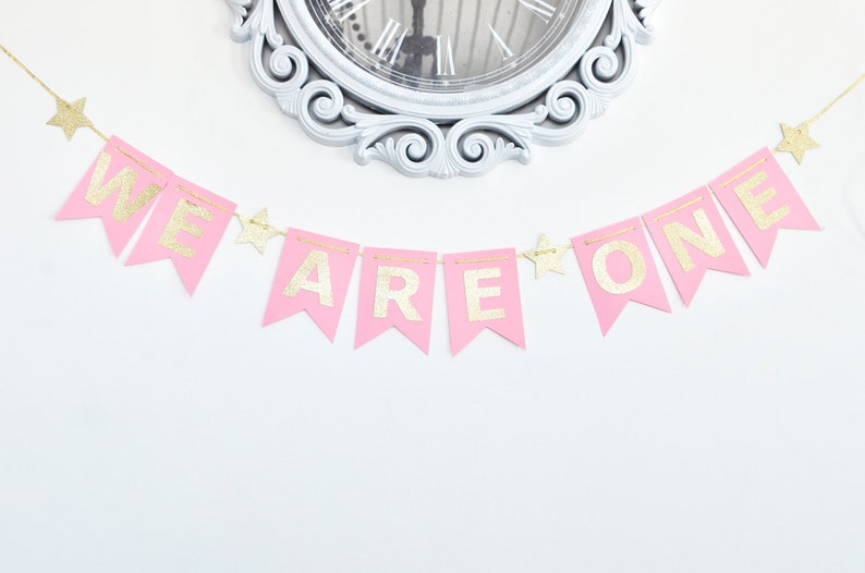We AreI Am ONE Banner Birthday Banner Pink and Gold First Birthday Photo Prop