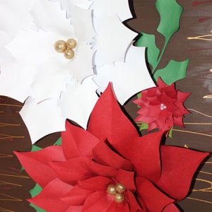 Poinsettias de Navidad, Poinsettias de papel, Poinsettias gigantes, flores de papel