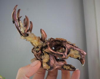 Clear Quartz Crystallized Partial Rabbit Oryctolagus cuniculus Skull