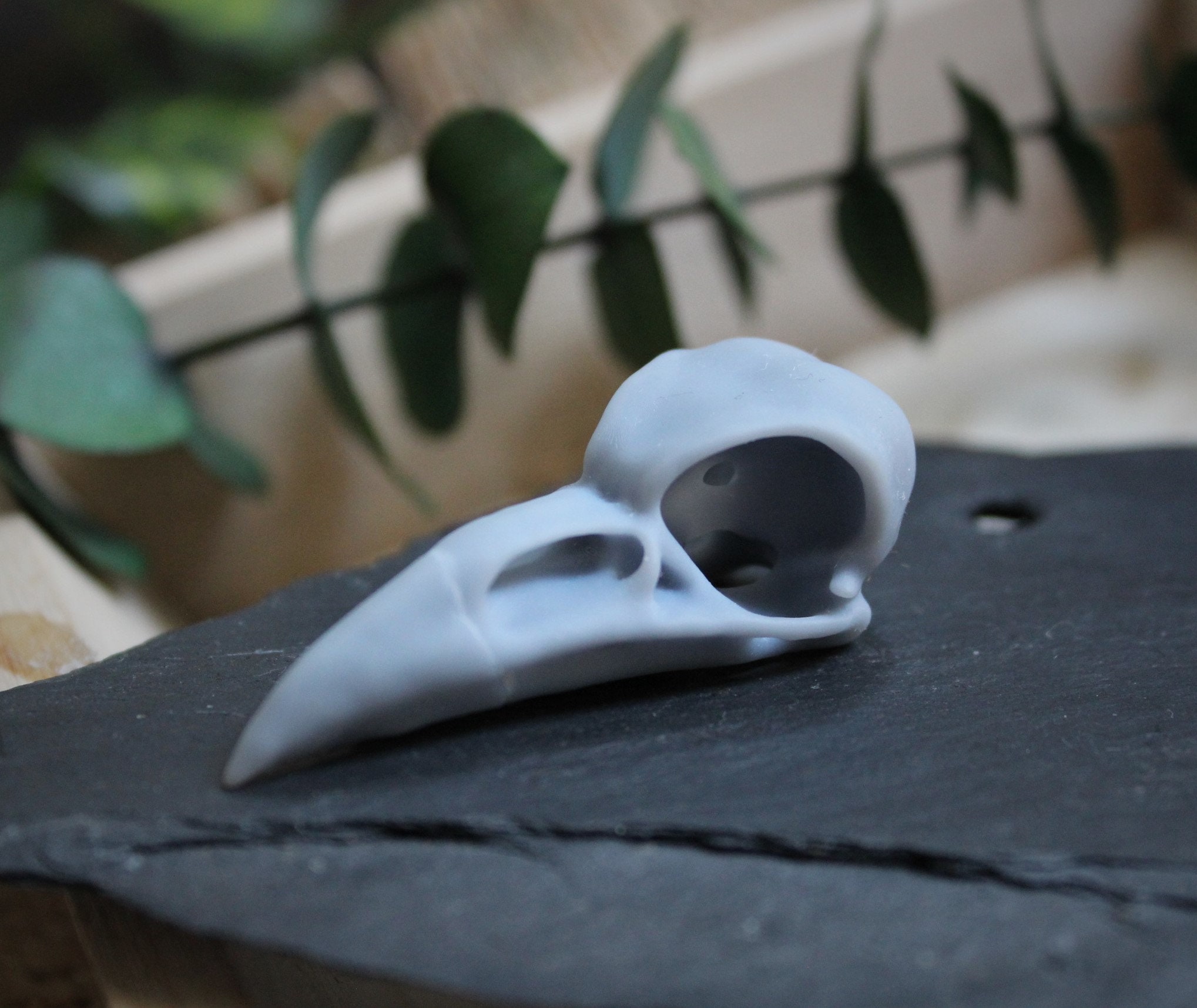Resin Crow Skull 3D printed bird skull faux fake replica | Etsy