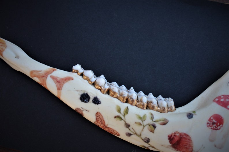May include: A decorated animal jawbone with gold-colored teeth. The bone is painted with mushrooms, butterflies, and other botanical elements. The jawbone is set against a dark background.