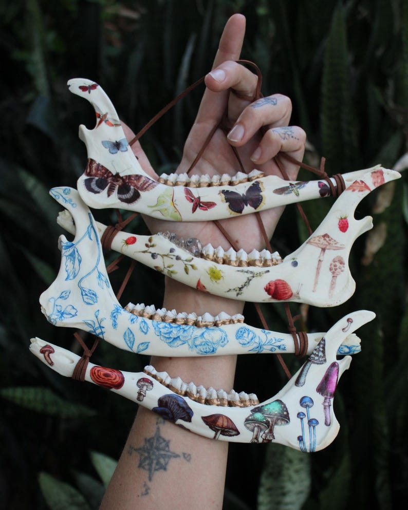 May include: Four decorative jawbone ornaments, each adorned with unique botanical and insect illustrations. The designs include butterflies, mushrooms, and floral patterns in various colors. The jawbones are suspended by brown cords.