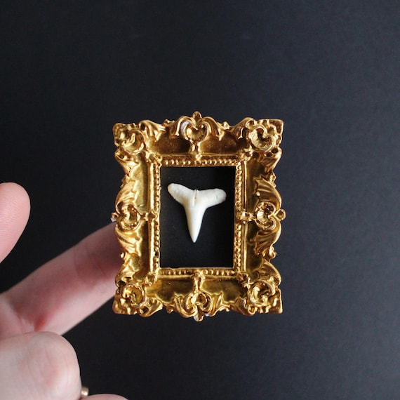 Ornate Gold Framed Animal Tooth Magnet: Victorian Oddity Decor