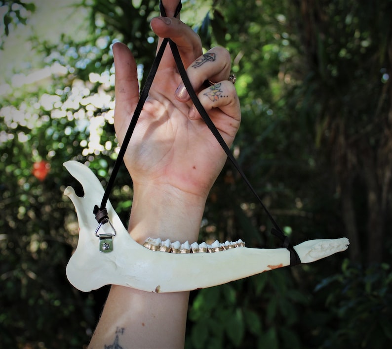 May include: A cream-colored animal jawbone with visible teeth, suspended by a black cord. The jawbone is held up by a metal triangle. The background is blurred green foliage. This unique piece could be used as a decorative item.