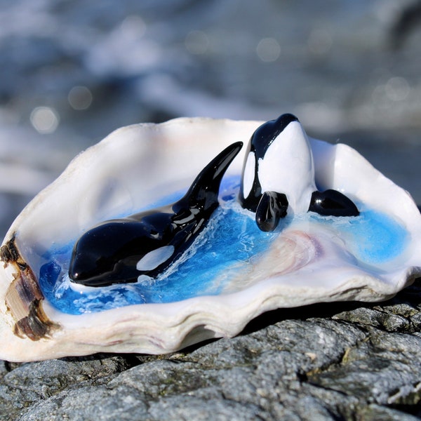 Orcas in Shells