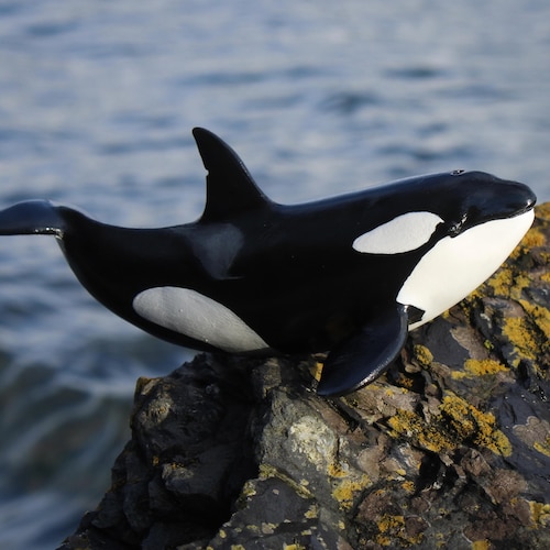 Orca Figurines - Etsy