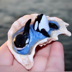 Shell Orca Orcas in Shells - Etsy