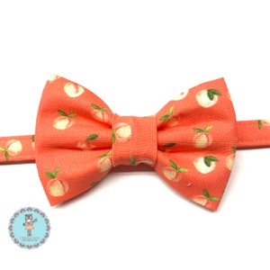 Peach Cat Bow Tie collar set, Peaches Cat Collar bow tie,  Peaches Orange Cat bow tie and collar set