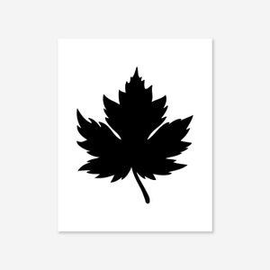 K&ouml;nnte beinhalten: Schwarze Silhouette eines Ahornblattes auf wei&szlig;em Hintergrund.