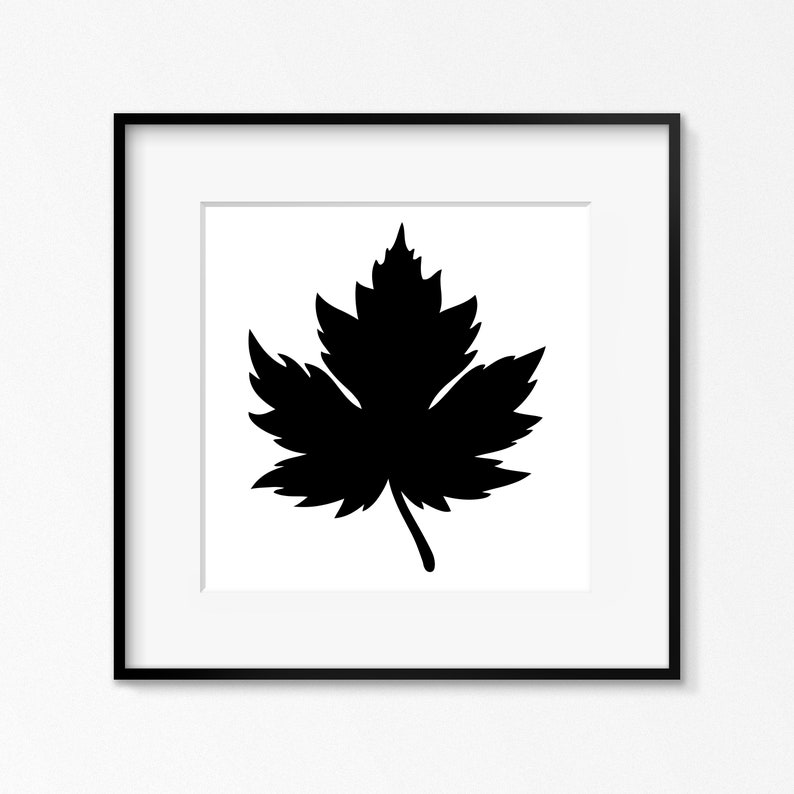 K&ouml;nnte beinhalten: Eine schwarz-wei&szlig;e Silhouette eines Ahornblattes in einem schwarzen Rahmen.