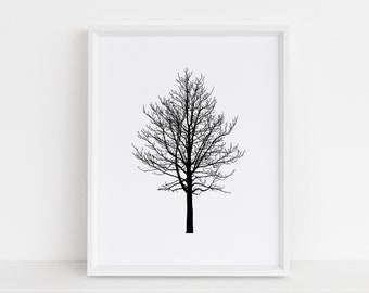 Winterbaum, schwarz und weiß, Kastanienbaum, Winter bedruckbar, botanische Silhouette, moderne Kunst, sofortiger Download