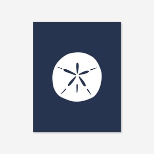 Puede incluir: Un d&oacute;lar de arena blanco sobre un fondo azul oscuro.