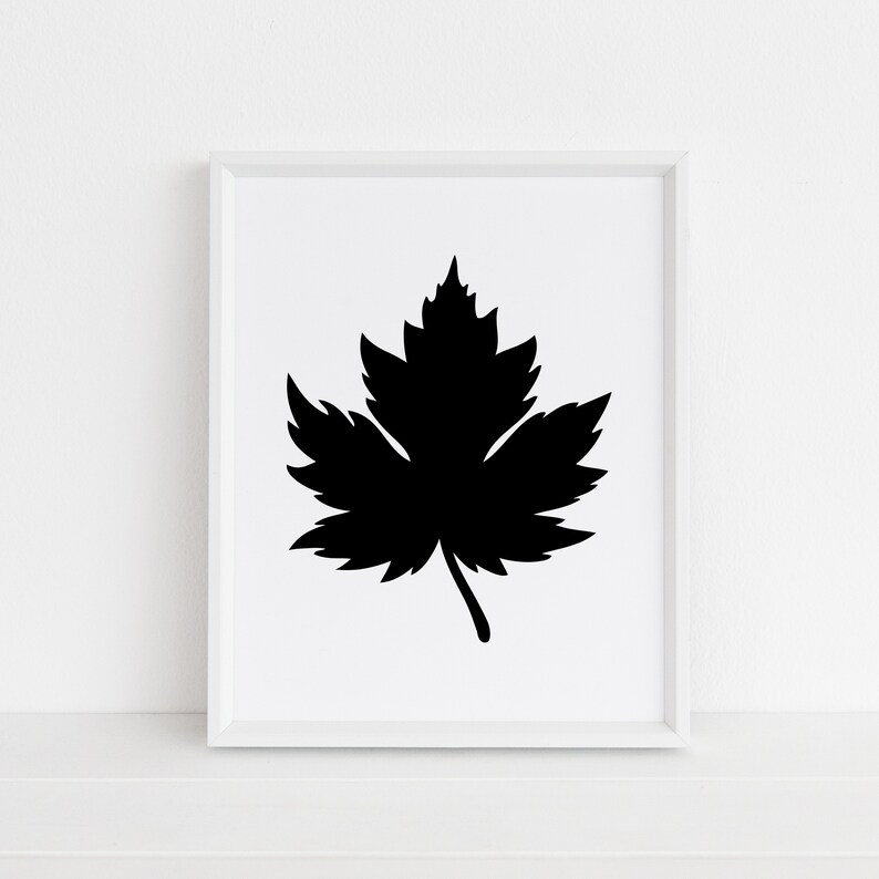 K&ouml;nnte beinhalten: Eine schwarze Silhouette eines Ahornblattes in einem wei&szlig;en Rahmen.