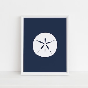 Puede incluir: Un d&oacute;lar de arena blanco sobre un fondo azul oscuro. El d&oacute;lar de arena es un elemento de decoraci&oacute;n de playa popular.