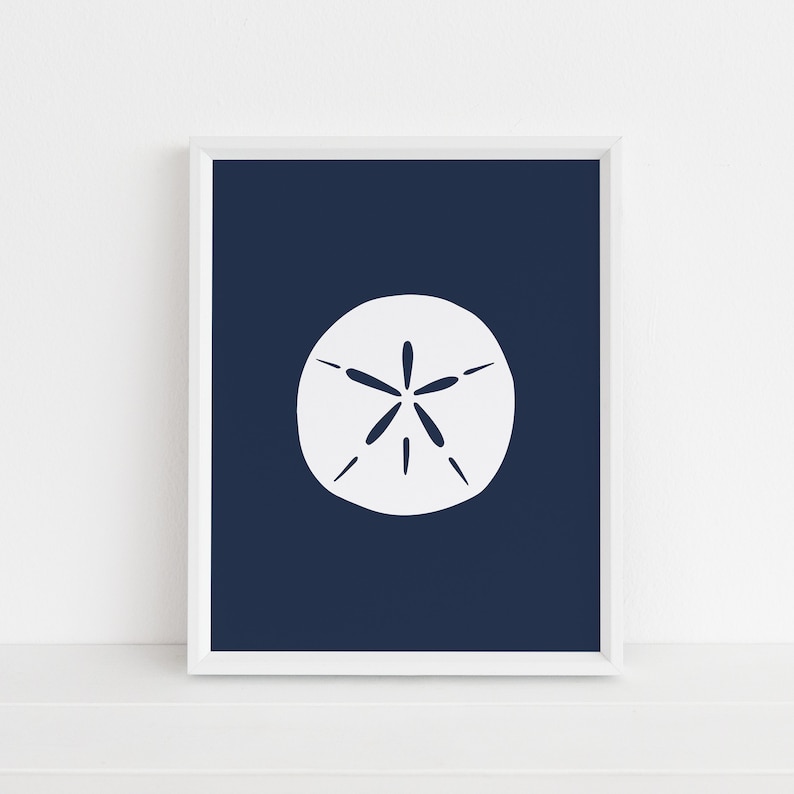 Puede incluir: Un d&oacute;lar de arena blanco sobre un fondo azul oscuro. El d&oacute;lar de arena es un elemento de decoraci&oacute;n de playa popular.