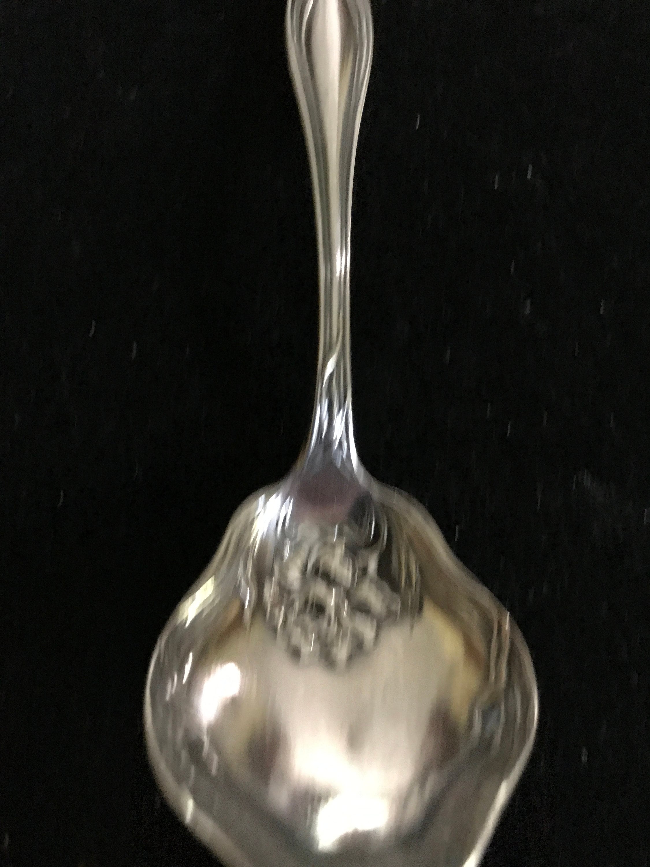 Vintage mystic Sugar Shell - Etsy