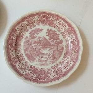 Vintage Villeroy & Boch plate