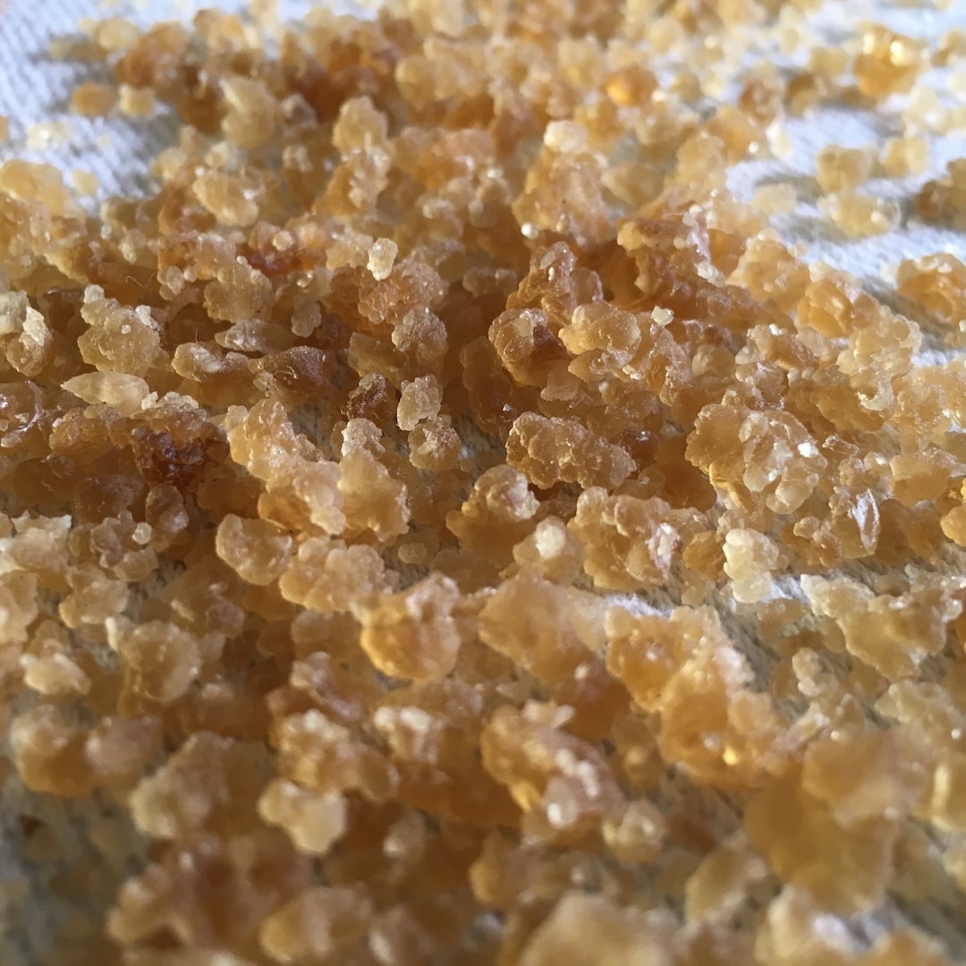 1 TBS Dehydrated Water Kefir Grains With Instructions Etsy