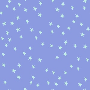 Sternenhimmel bei Alexia Abegg für Ruby Star Society