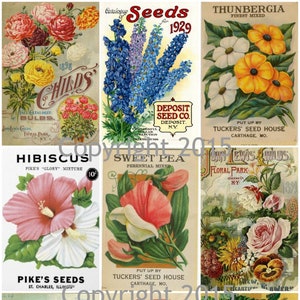 Printed Vintage Victorian Seed Packs Flowers Collage Sheet   8.5 x 11 Printed Sheet, Decoupage, Altered Art, Labels, Collage,