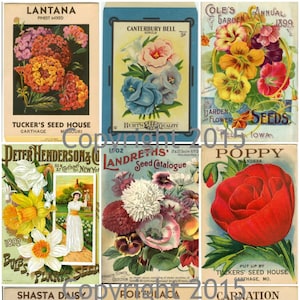 Printed Vintage Victorian Seed Packs Flowers Collage Sheet   8.5 x 11 Printed Sheet, Decoupage, Altered Art, Labels, Collage,