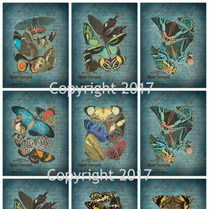 Printed Vintage Seguy  Butterflies Collage Sheet #108    8.5 x 11 for Decoupage, Altered Art, Scrapbooking etc.