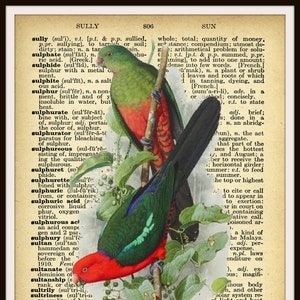 Vintage Parrots Art Print Poster on Dictionary Ephemera,  Print Wall Decor, 8 x 10&quot;  Unframed Printed Art Image, Vintage Wall Art