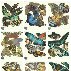 Printed Vintage  Butterflies Collage Sheet   8.5 x 11 for Decoupage, Altered Art, Scrapbooking etc.