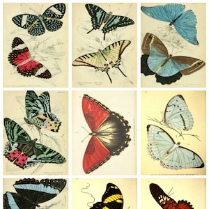 Printed Vintage  Butterflies Collage Sheet   8.5 x 11 for Decoupage, Altered Art, Scrapbooking etc.