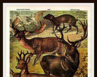Vintage Deer Natural History Art Print Poster sur Dictionary Ephemera 8 x 10" Unframed Printed Art Image, vintage Wall Art