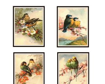 Set of 4 Vintage Catherine Klein Birds Art Print Poster Reproductions   Unframed, 5 x 7" or  8 x 10"