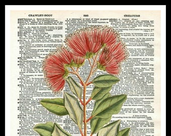 複製辞書ページに印刷されたヴィンテージ植物の花のアートプリントポスター 8 x 10インチまたは11 x 14インチ フレームなし