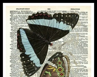 Printed Vintage Butterfly Art Print Poster  8 x 10 or 11 x 14" Unframed