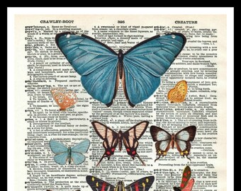 Printed Vintage Butterfly Art Print Poster  8 x 10 or 11 x 14" Unframed