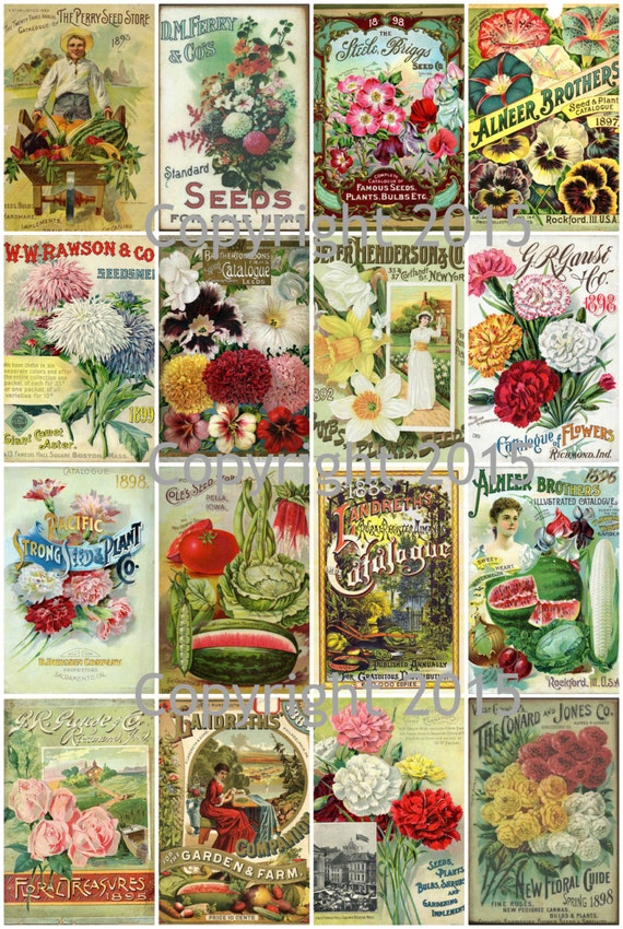 Printed Vintage Victorian Seed Catalog Covers Collage Sheet 102 8.5 x 11  Printed Sheet