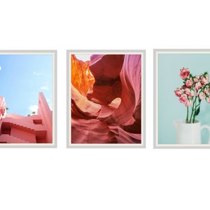 Juego de 3 Flamingo Pink Swirls, Roses and Blue Sky Photo Art Print Posters 8 x 10", 11 x 14", 11 x 17" o 12 x 18" sin enmarcar,