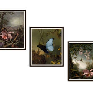 Set of 3  Hummingbirds, Butterfly and Orchids by Martin Johnson Heade Giclee Art Reproductions  Unframed, 5 x 7&quot;, 8 x 10&quot; or 11 x 14&quot;