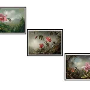 Set of 3  Hummingbirds, Passion Flowers and Orchids by Martin Johnson Heade Giclee Art Reproductions  Unframed, 5 x 7&quot;, 8 x 10&quot; or 11 x 14&quot;