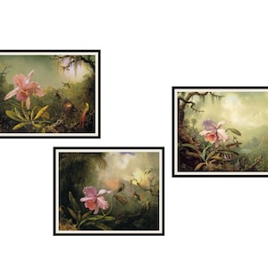 Set of 3  Hummingbirds and Orchids by Martin Johnson Heade Giclee Art Print Reproductions  Unframed, 5 x 7&quot;, 8 x 10&quot; or 11 x 14&quot;