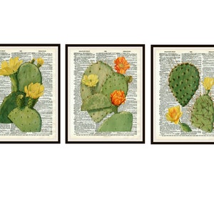 Set von 3 Vintage Botanischen Cactus Art Print Posters, Wörterbuch-Art, Ungerahmte Poster, Farm House Art, 8 x 10 oder 11 x 14 "Schiffe kostenlos in die USA