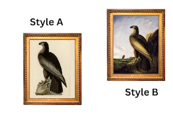 John J Audubon "Antique Natural History or Maritime Style:  Bird of Washington"  From Birds of America  Giclee Art Print, Unframed,
