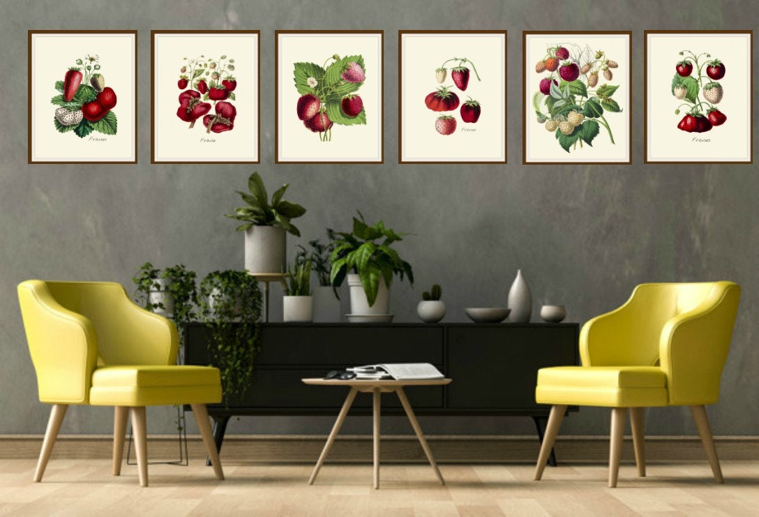 Set of 6 Vintage Botanical Art Print Poster Reproductions "berries ...