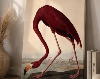 Audubon American Flamingo Print | Vintage Red Flamingo Wall Art |  Large Coastal Bird Art |   Giclee Art print, Poster or Canvas