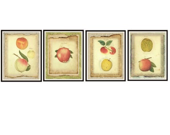 Set of 4 Vintage Botanical Art Print Poster Reproductions "Apples"  Set 1 Unframed 8 x 10"  Fruit Print Posters, Kitchen Art Posters