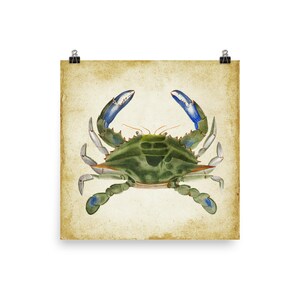 Vintage Ocean Art Print PosterCrab 2 Poster Summer House, Beach House Art