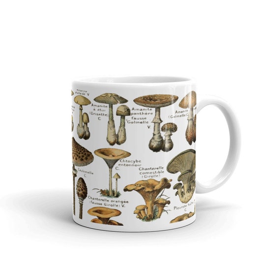 Adolphe Millot Nature Art Mushrooms champignons Encyclopedia Art White  Glossy Mug -  Norway