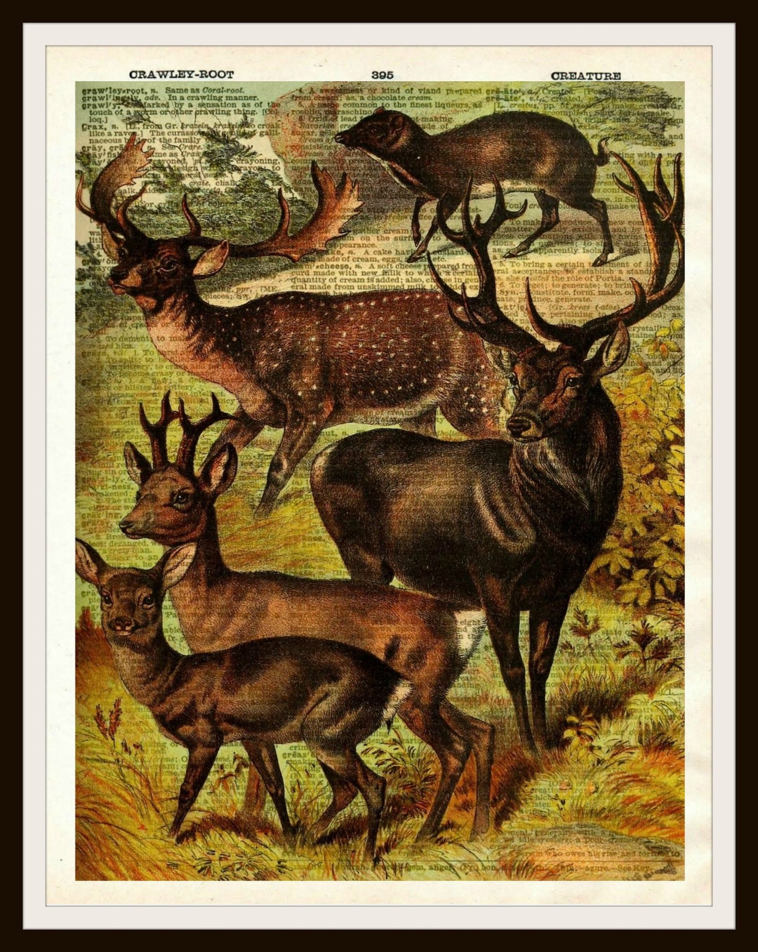 Vintage Deer Natural History Art Print Poster on Dictionary Ephemera 8 ...