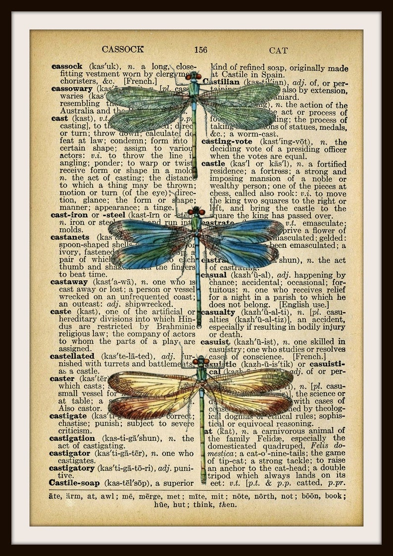 Vintage Art Print Dragonflies on Ephemera Dictionary Page , Print Wall ...