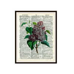 Printed Vintage Botanical Lilacs on Reproduction Dictionary Page Art Print Poster  8 x 10 or 11 x 14&quot; Unframed Kitchen Art